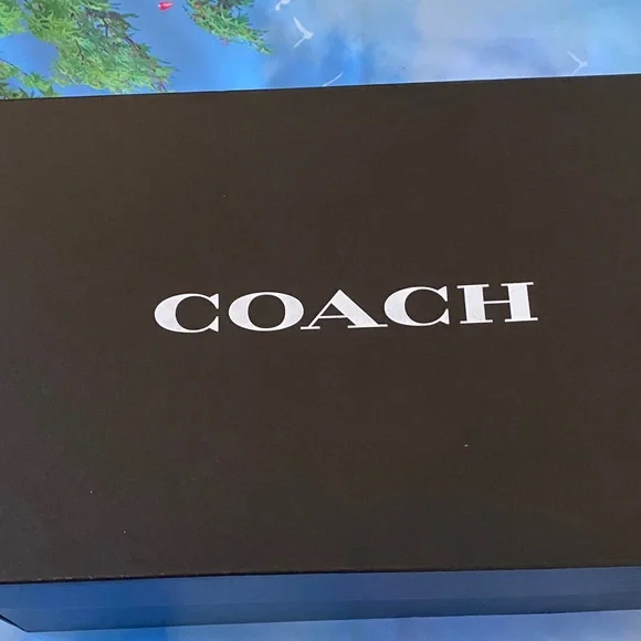 NWT COACH
Women's Sculpted C Loved Leather
Platform Clogs - Picture 15 of 16